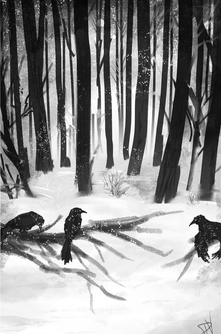 Void and crows