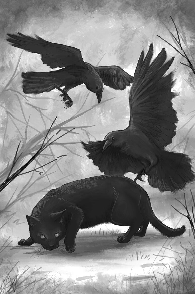 Void and crows